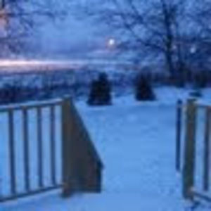 Meet your Posher, Frieda